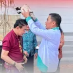 Diaspora Indonesia Kunjungan Budaya Ke Toraja