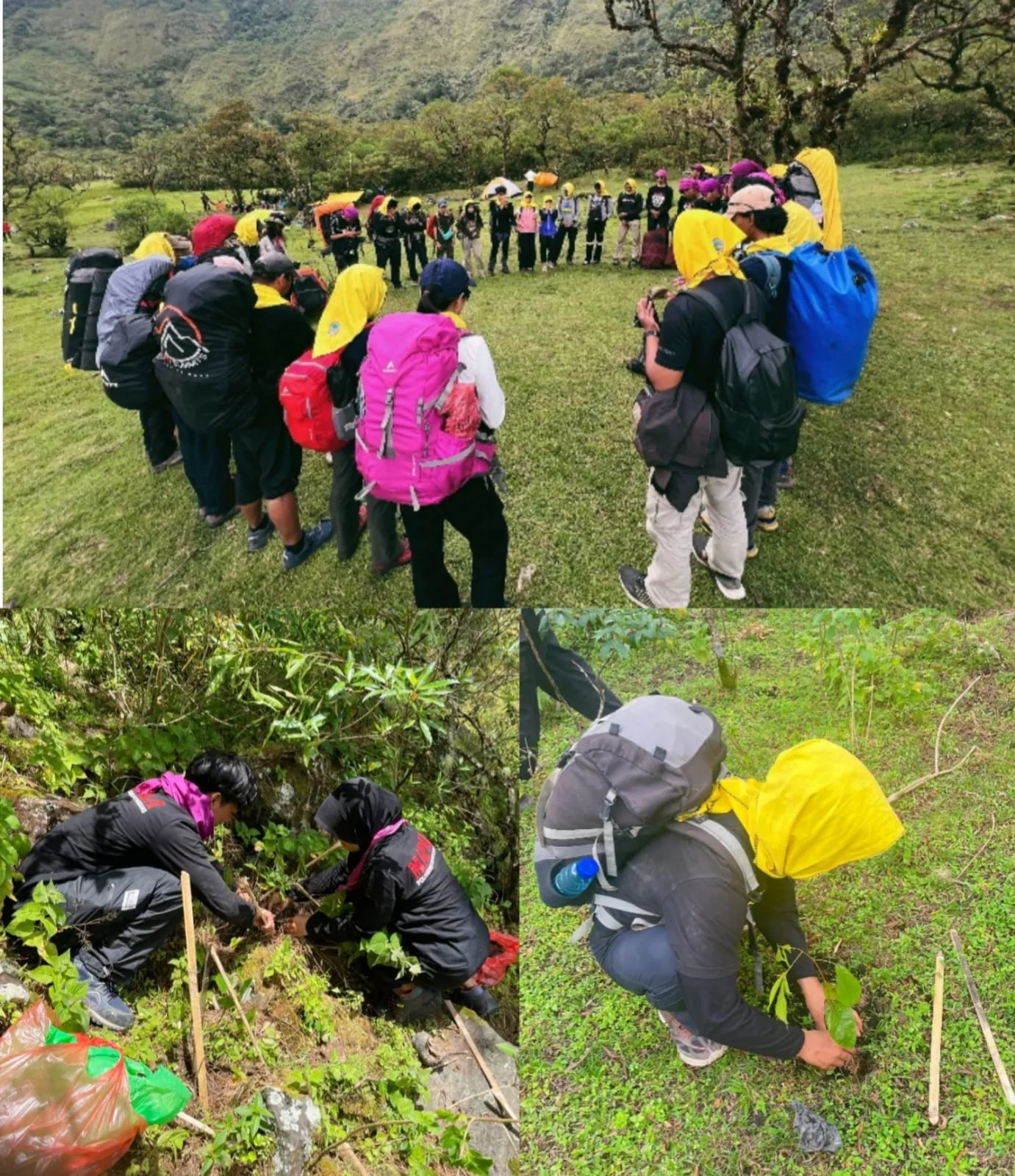 Anniversary Ke-32, MAPALA PNUP Tanam Pohon di Lembah Lohe Gowa