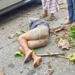 Pemotor Meregang Nyawa Tertimpa Pohon di Plaza Kolam Makale