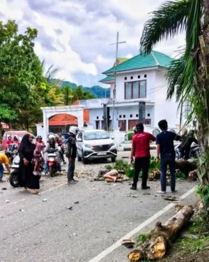 Nahas Pengusaha Roti Tewas Tertimpa Pohon di Paza Kolam Makale