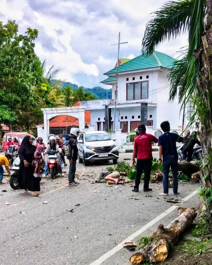 Nahas Pengusaha Roti Tewas Tertimpa Pohon di Paza Kolam Makale