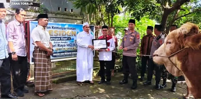 Bupati Tana Toraja Serahkan Sapi Qurban Banpres di Mesjid Jami Musafir Sangalla’