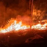 Tana Toraja Darurat Kebakaran, Titik Api Mulai Dekati Permukiman Warga
