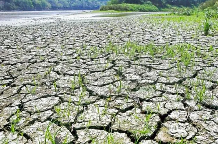 Kemarau di Tana Toraja Diprediksi Agustus-September 2026