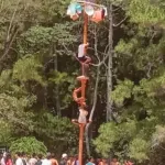 Panjat Pinang Ikonik Tradisional Meriahkan HUT RI ke-81 di Tana Toraja